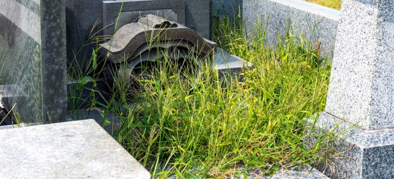 位牌を通じて故人を偲ぶ絆のカタチ