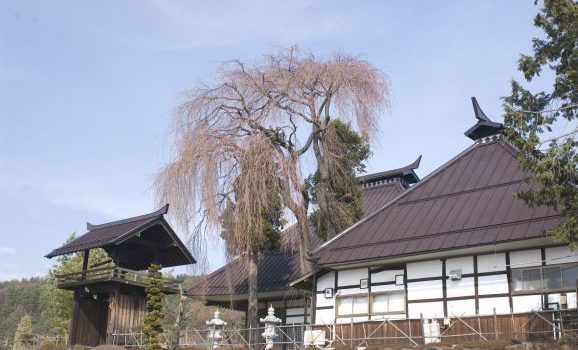 位牌の意義と選び方の変化
